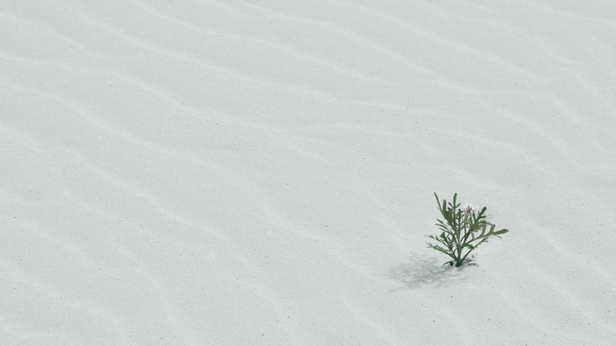 The Benefits of Pure Functions in JavaScript