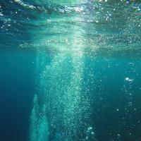 Dive Into PKM With Obsidian