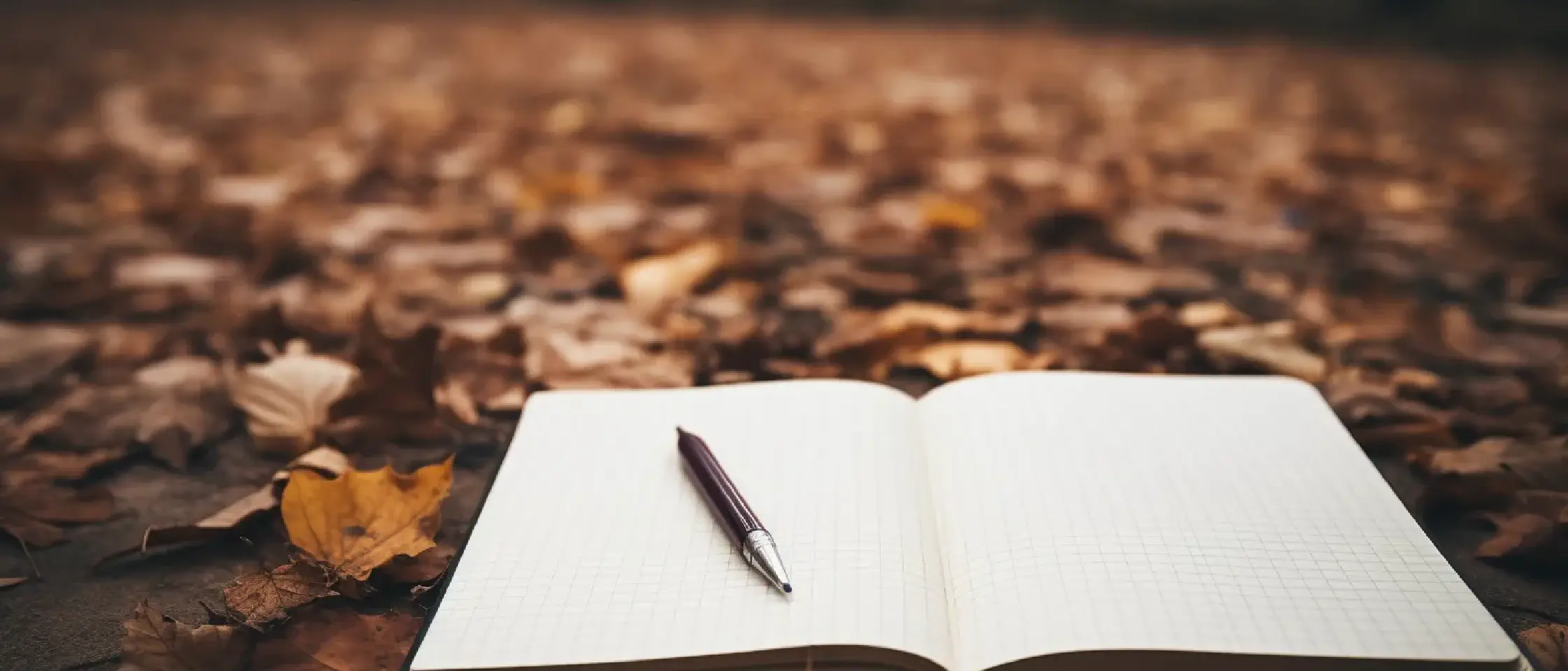 Stop taking notes for nothing! How to transform your jottings into actionable steps?